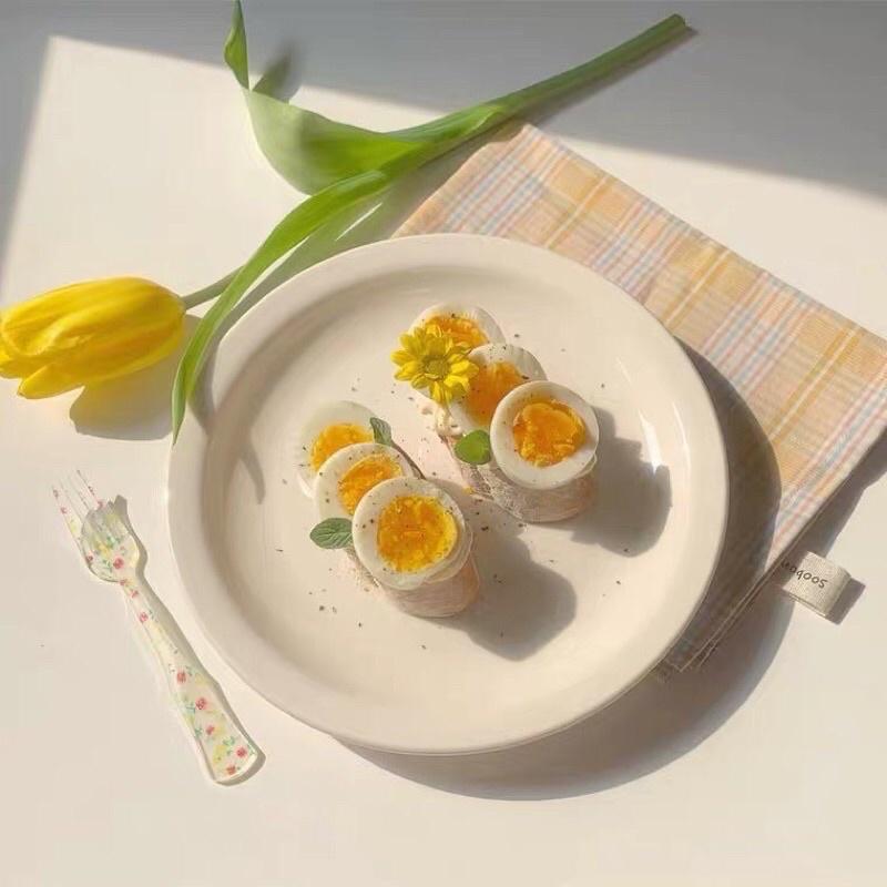 Dĩa sứ màu trắng, tráng men cao cấp