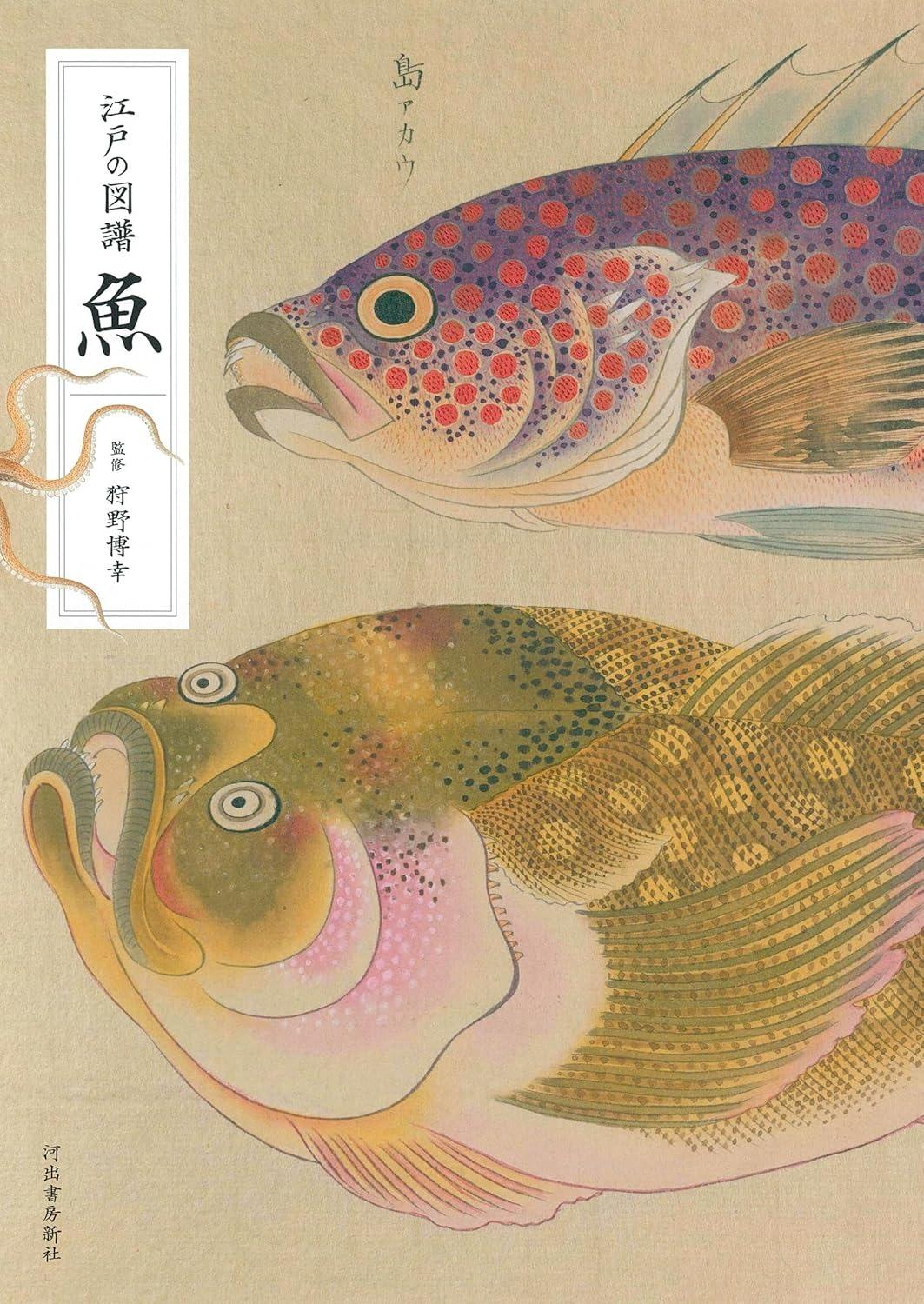 Sách ngoại văn: 江戸の図譜 魚 - Edo No Zufu Sakana