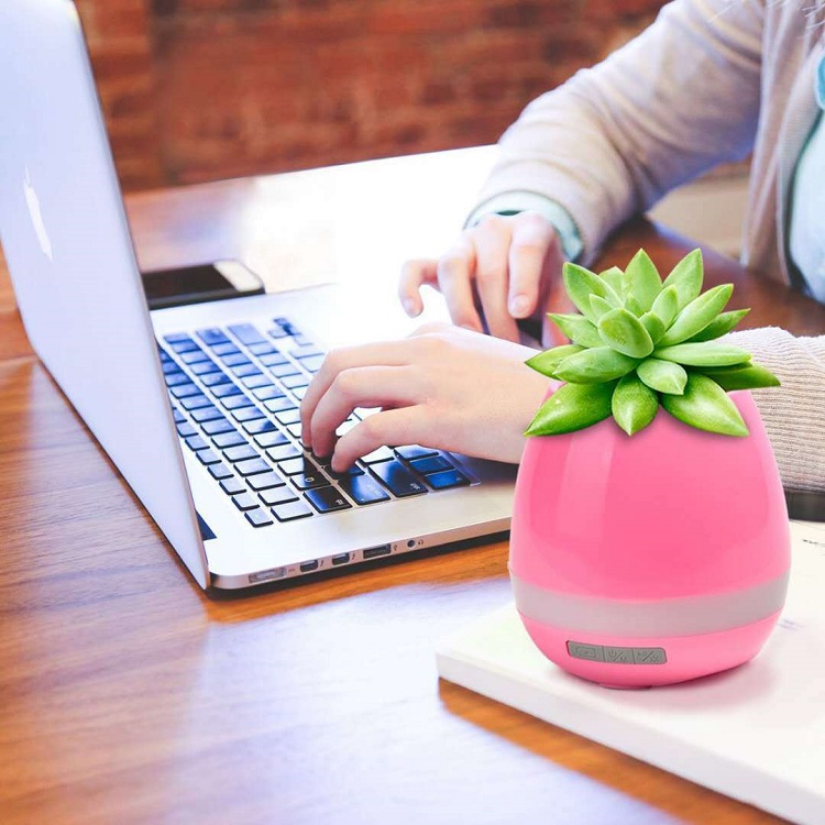 Loa Bluetooth Kiêm Chậu Cây Cảm Ứng Phát Nhạc Trên Lá