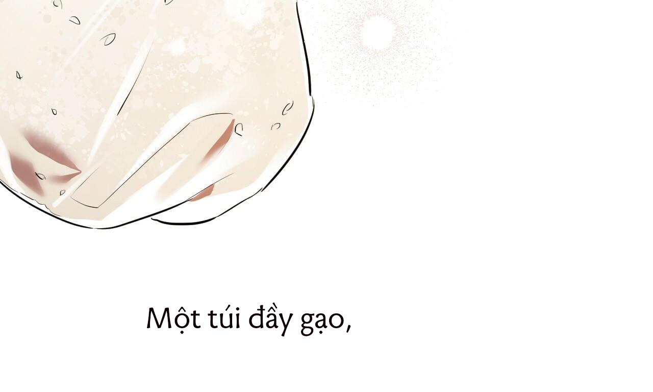 đàn thỏ của habibi chapter 39 6