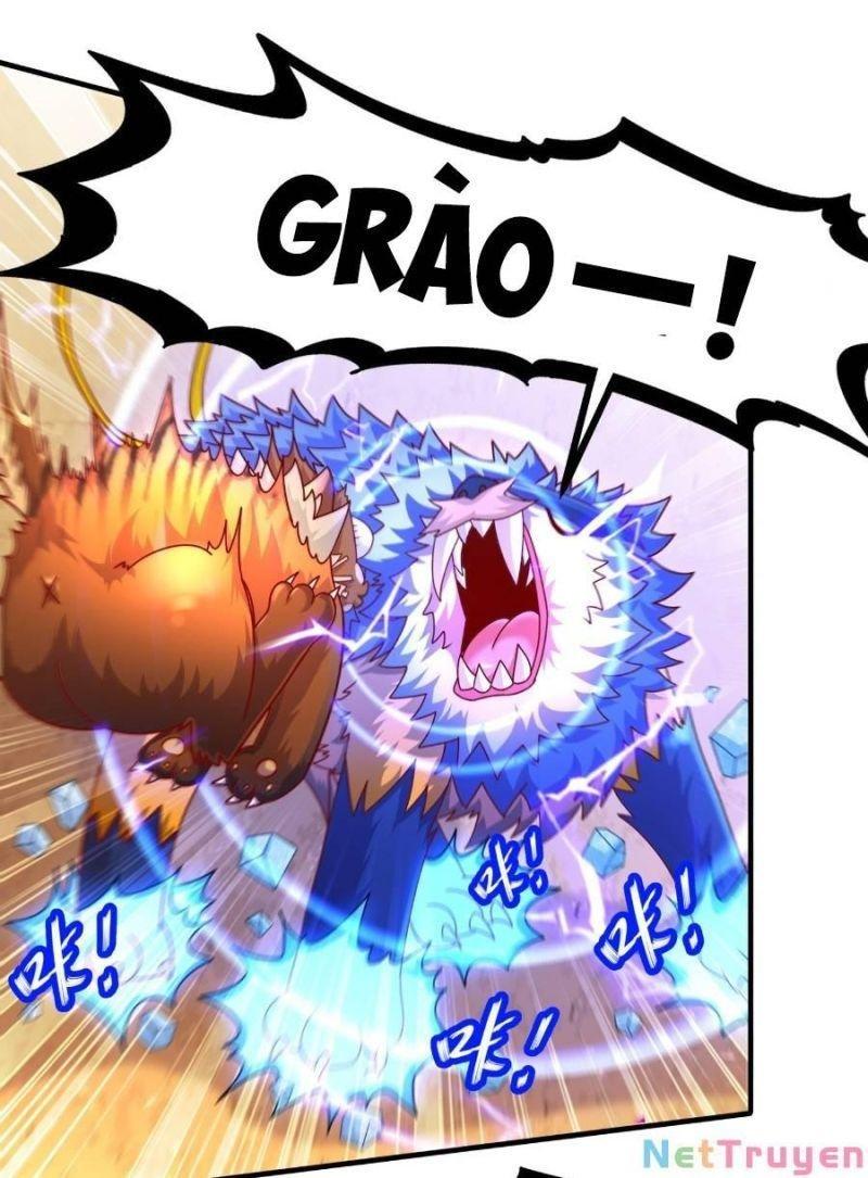 tuyệt sắc đạo lữ đều nói ngô hoàng có thể chất vô địch chapter 12 24