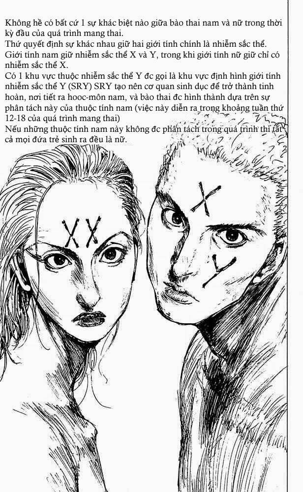 level e chapter 11 21