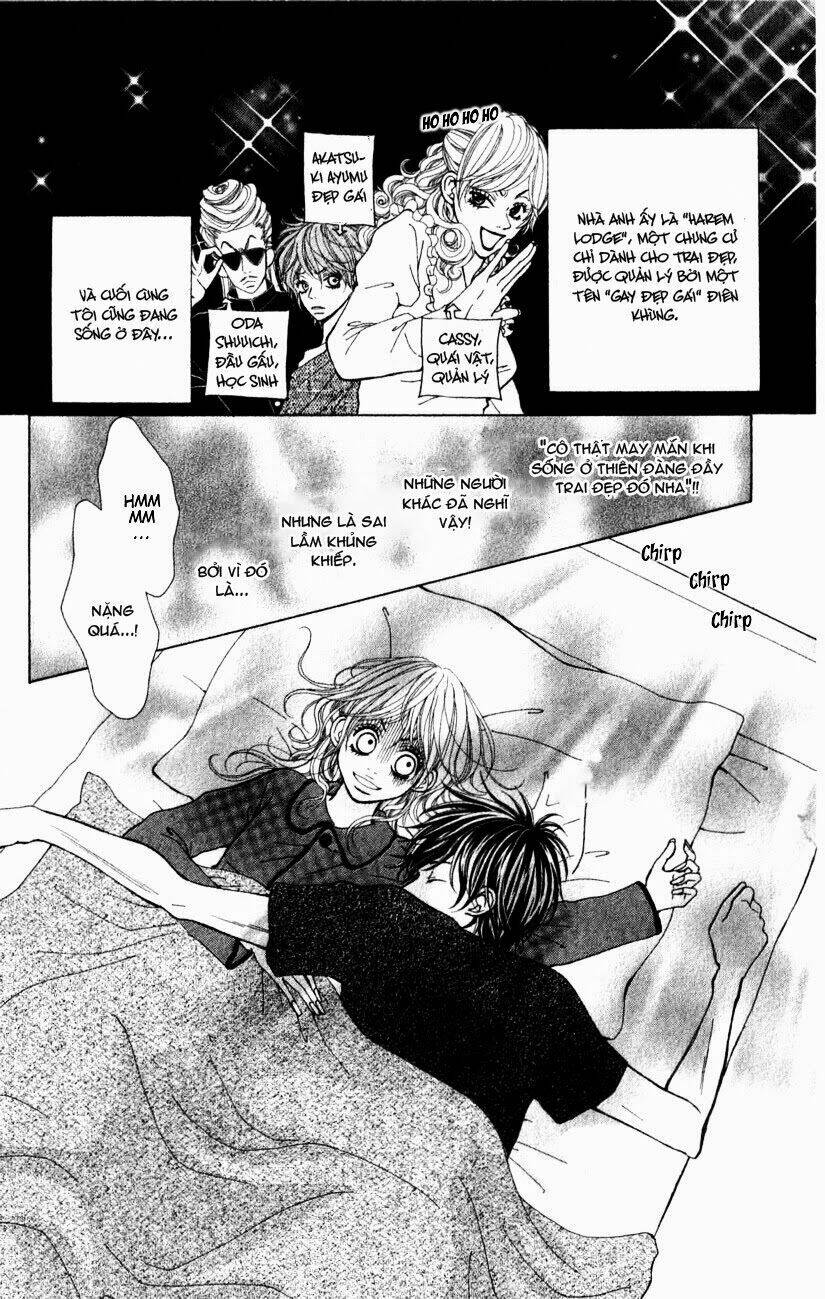 harem lodge chapter 2 4