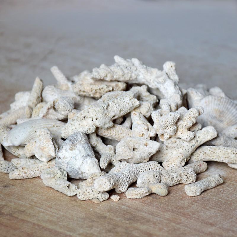 San Hô Vụn 500Gr Lọc Nước Cho Hồ Cá Cảnh
