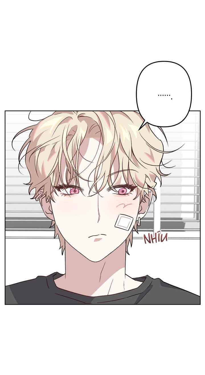 xin hãy chống lưng cho tôi chapter 2 9