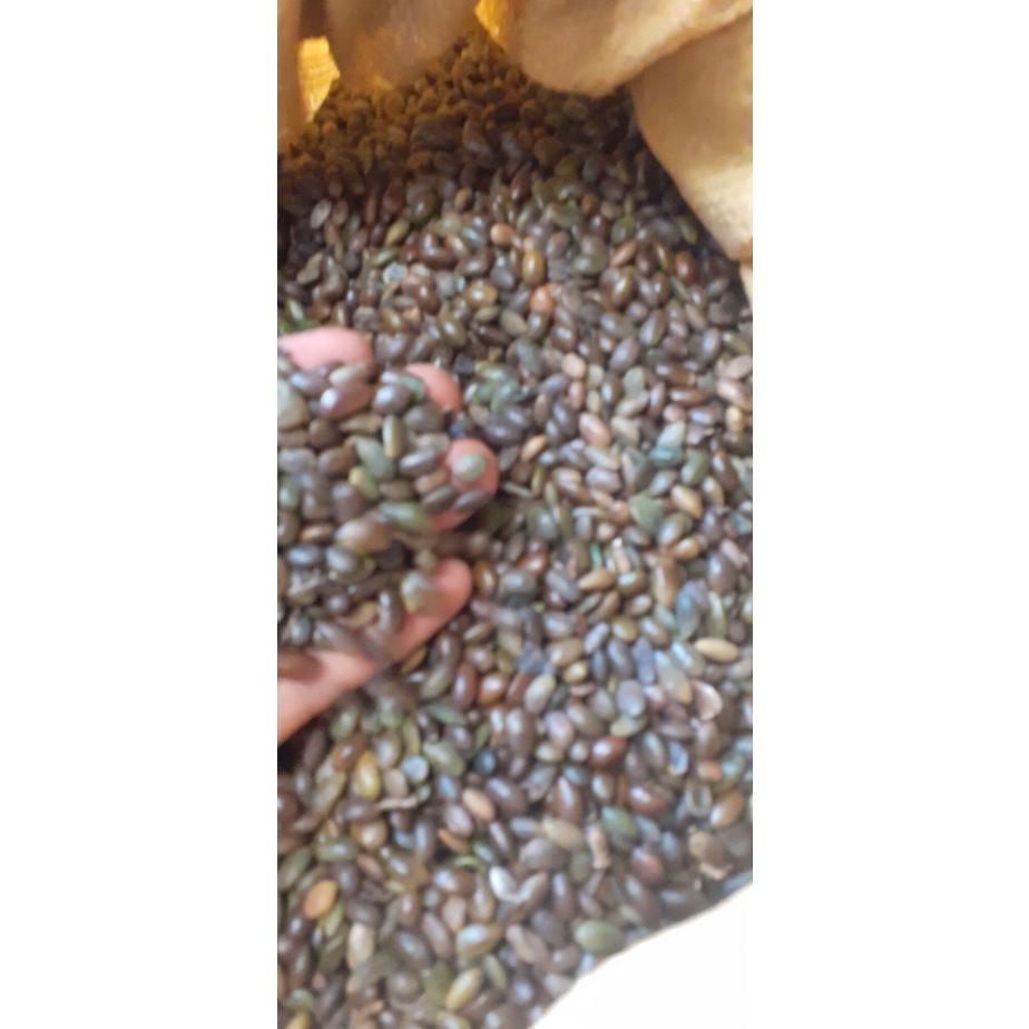 50 gram hạt giống bồ kết