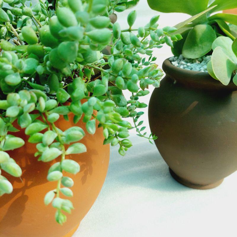 Chậu đất nung Bình Dương - Chum cao, miệng chậu 14cm, chiều cao 20cm