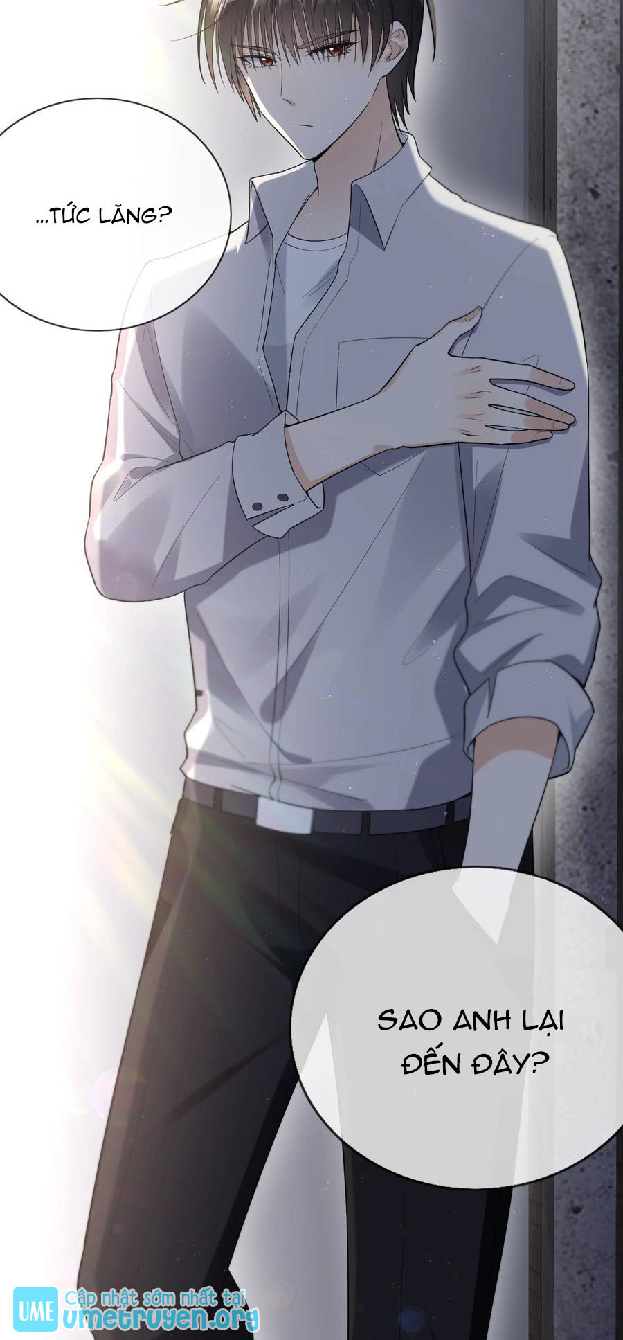 tức thời phạm quy [ tức thì vi quy ] chapter 24 36