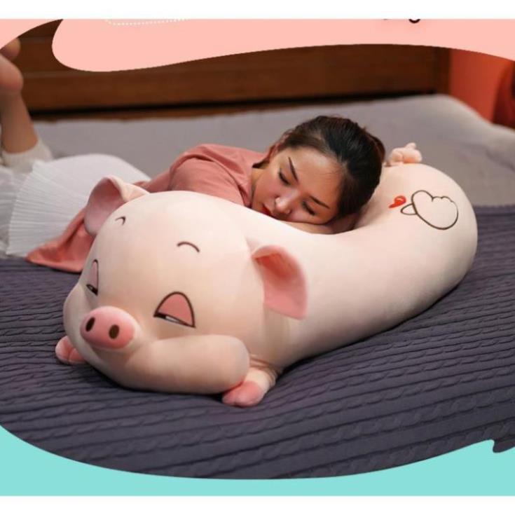Gấu Bông Ôm Hình Heo Lười Mắt Híp Siêu Xinh Cho Bé 2 Màu