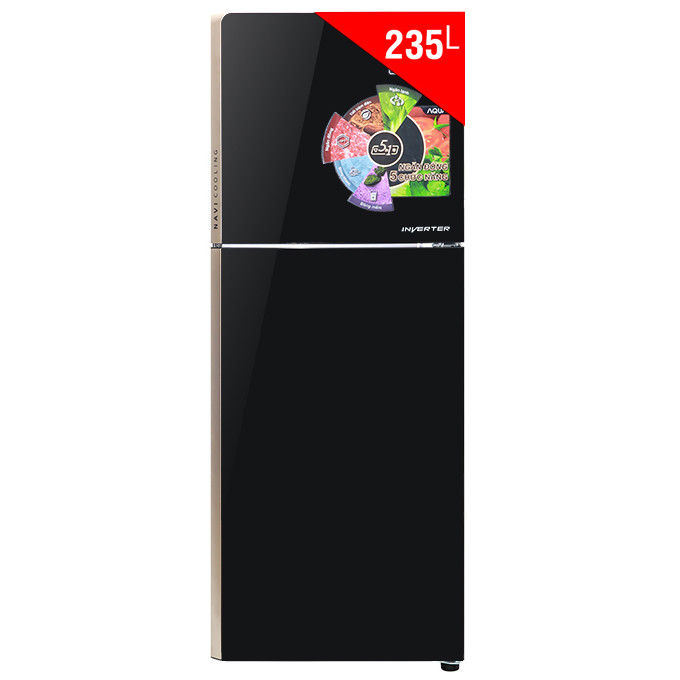 Tủ Lạnh AQUA AQR-IG248EN 249L