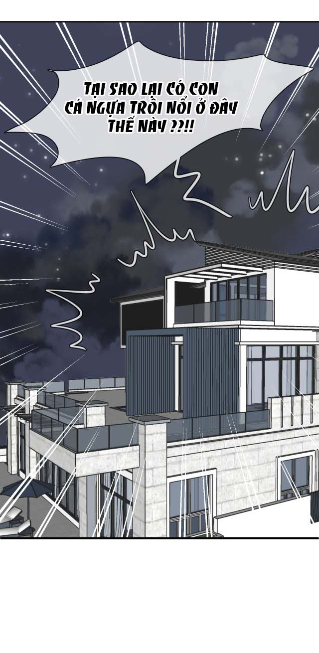 bộ váy của nàng tiên cá chapter 5 9