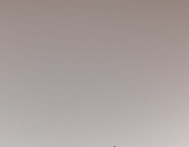 lượm được một tiểu hồ ly phần 2 chapter 35 37