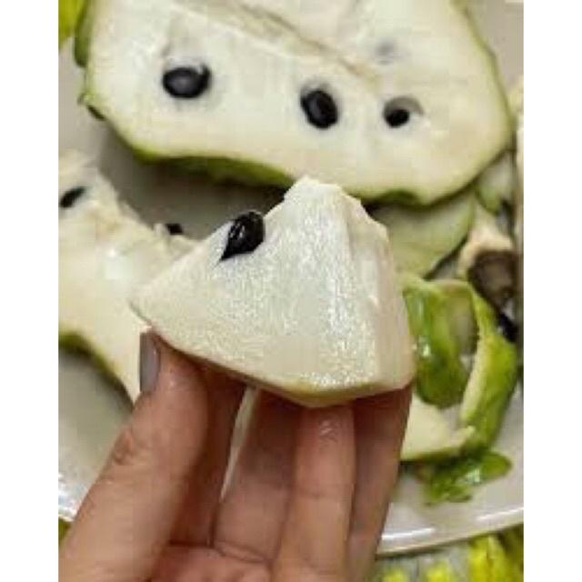 Cây giống na Thái Lan  có khả năng sinh trưởng và phát triển tốt