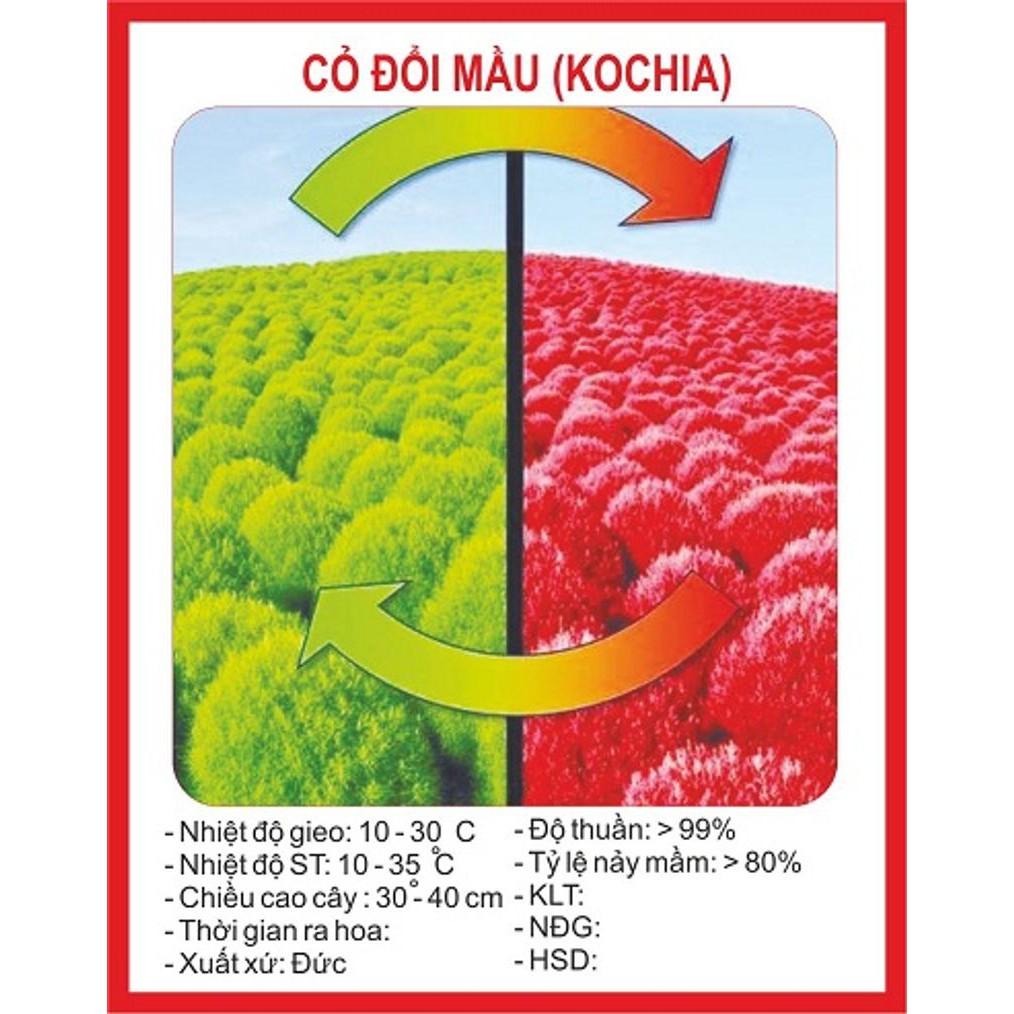 Hạt Giống Cỏ Đổi Màu Nhật Bản
