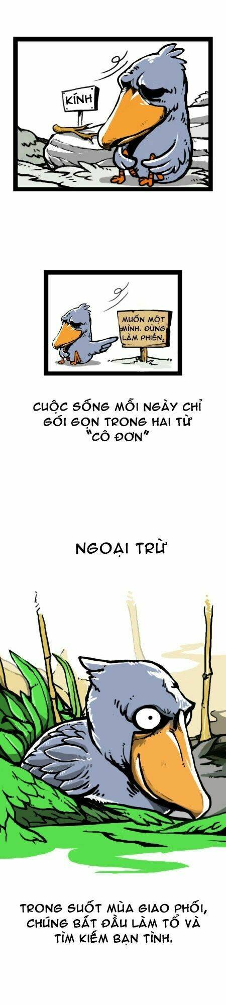 earth, human, and animal chapter 14 18