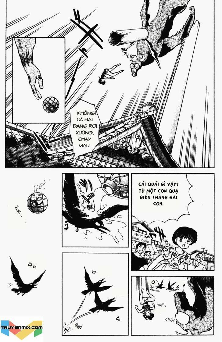 suối lời nguyền chapter 237 13