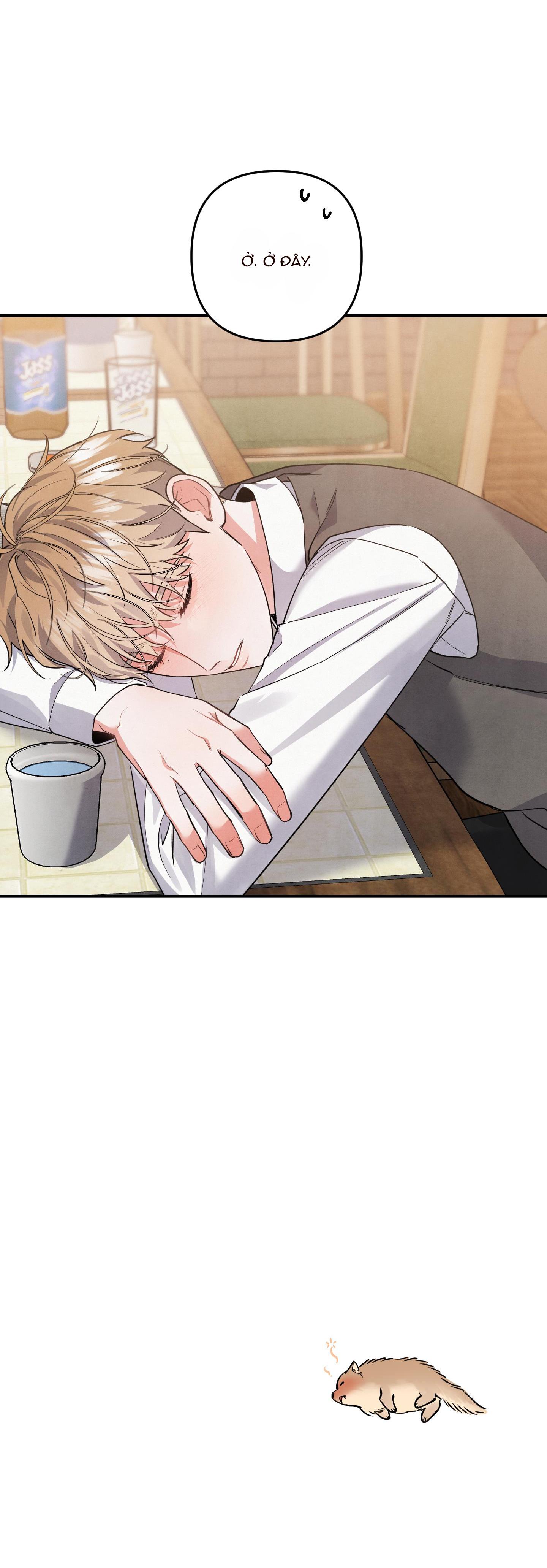 mối quan hệ ngu ngốc chapter 50 40