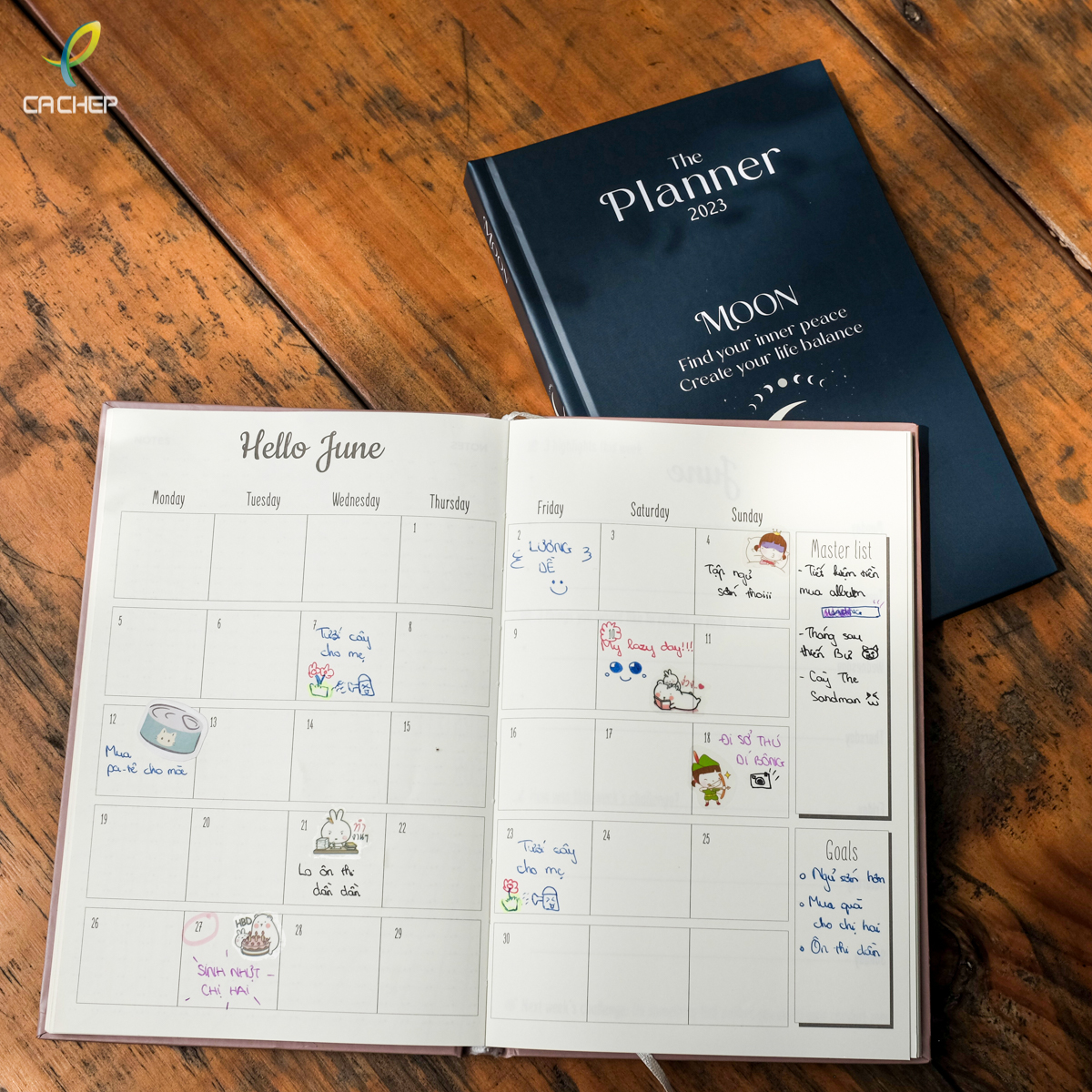 Combo 2 Sổ Planner 2023 - Tặng 1 washi tape - danh họa, tranh Van Gogh ngẫu nhiên