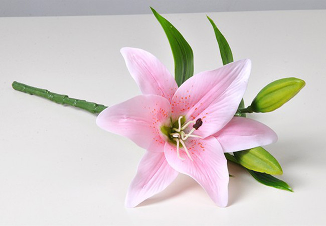 Cành hoa ly 2 bông 1 nụ