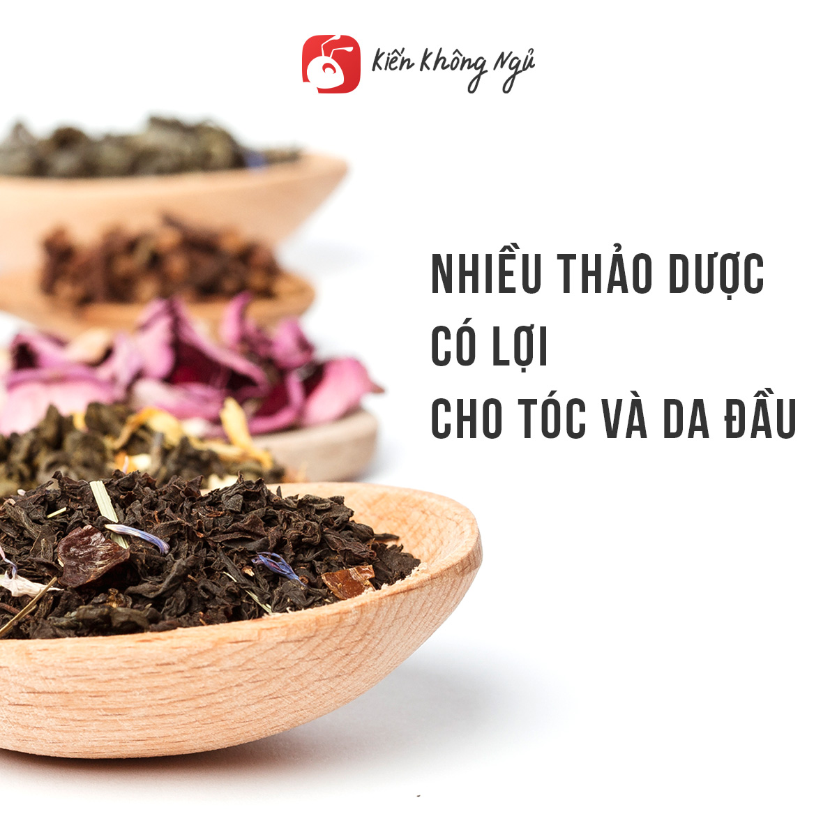Dầu gội thảo dược Fresh Shampoo giảm rụng tóc, giảm gàu, nuôi dưỡng tóc mềm mượt và chắc khỏe từ gốc 500ml