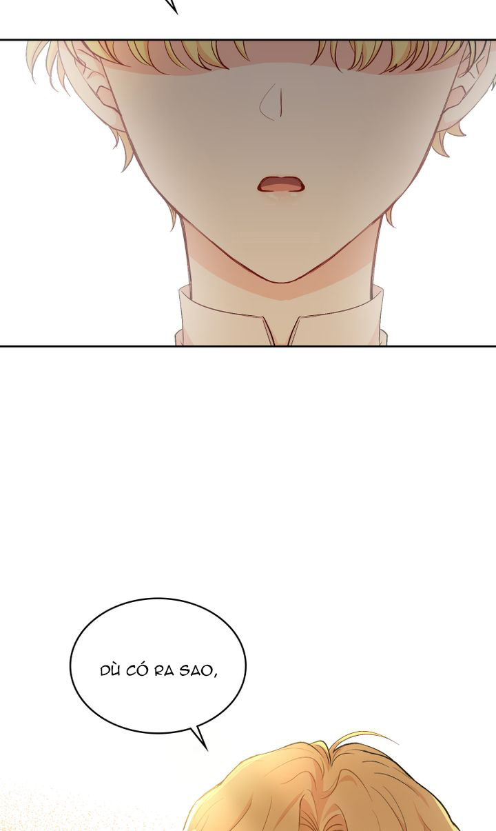 tìm lại nàng camellia chapter 0 45