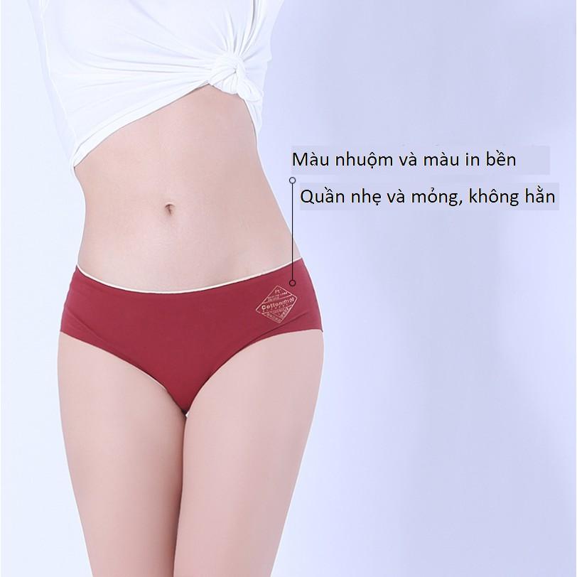 Quần Lót Cotton Kháng Khuẩn Không Đường May Chống Hằn Mới P096