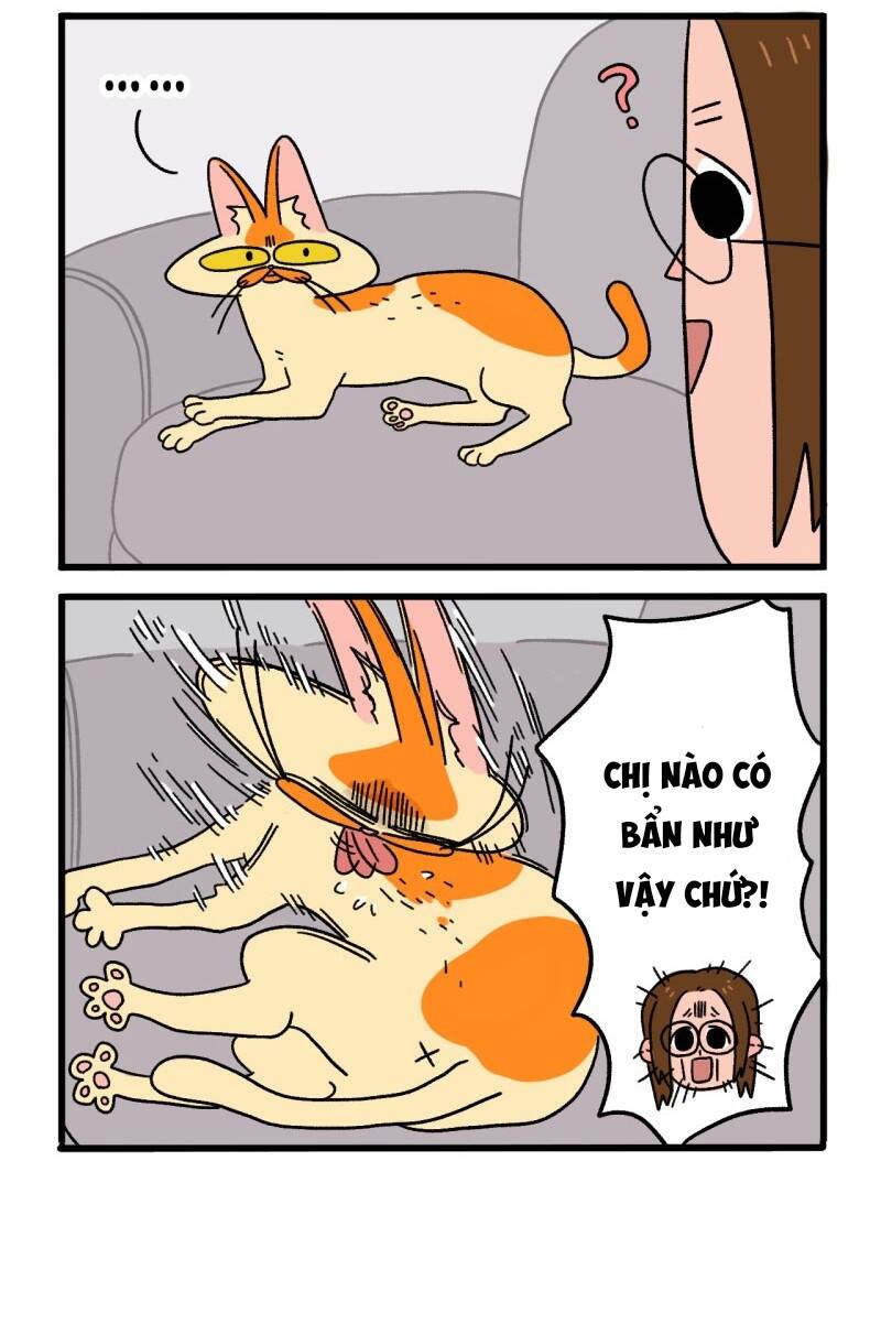 a mãn và mạch trà chapter 4 4