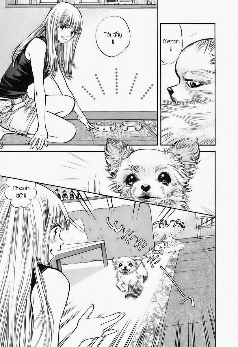 cô nàng yêu chó chapter 38 5