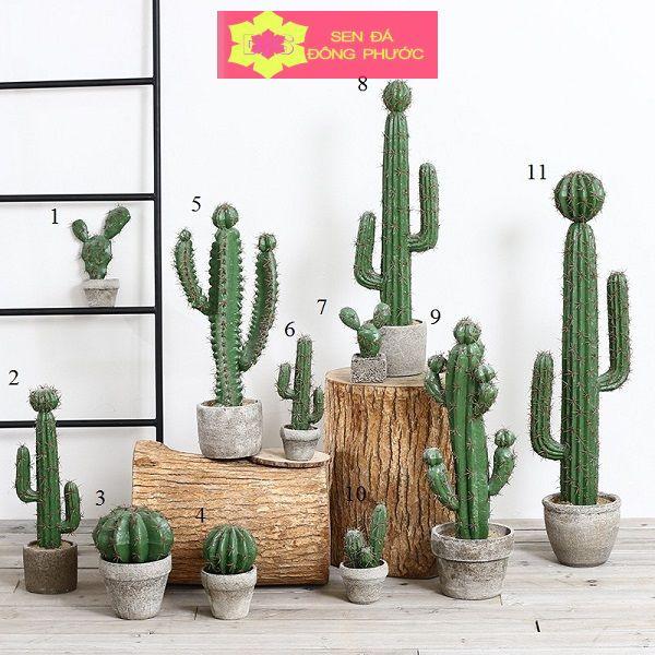 Chậu cây đất nung hình vuông Heo con ngủ - chậu trồng tiểu cảnh sen đá, xương rồng, cây phong thuỷ văn phòng đẹp