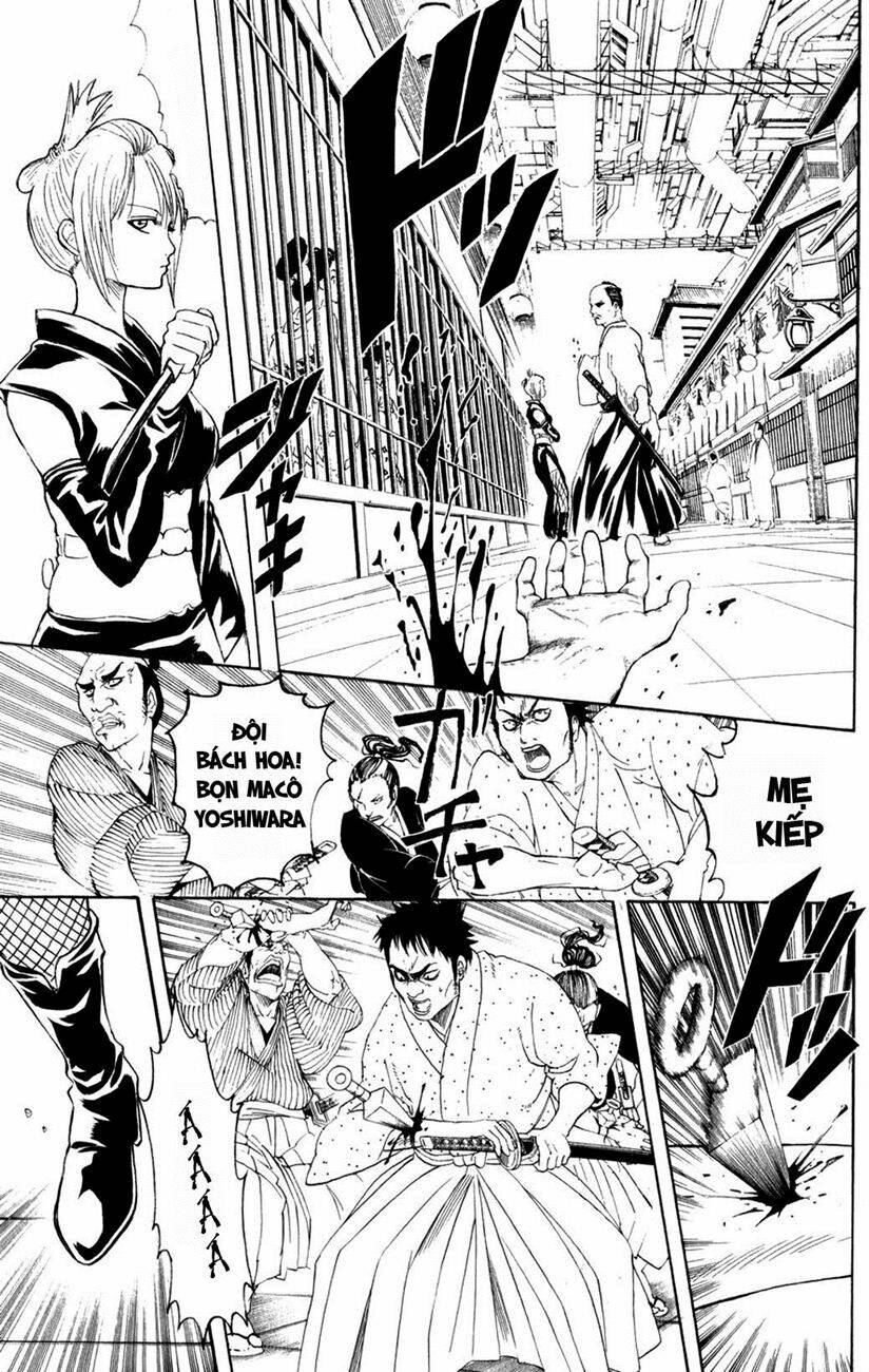 gintama - linh hồn bạc chapter 211 5