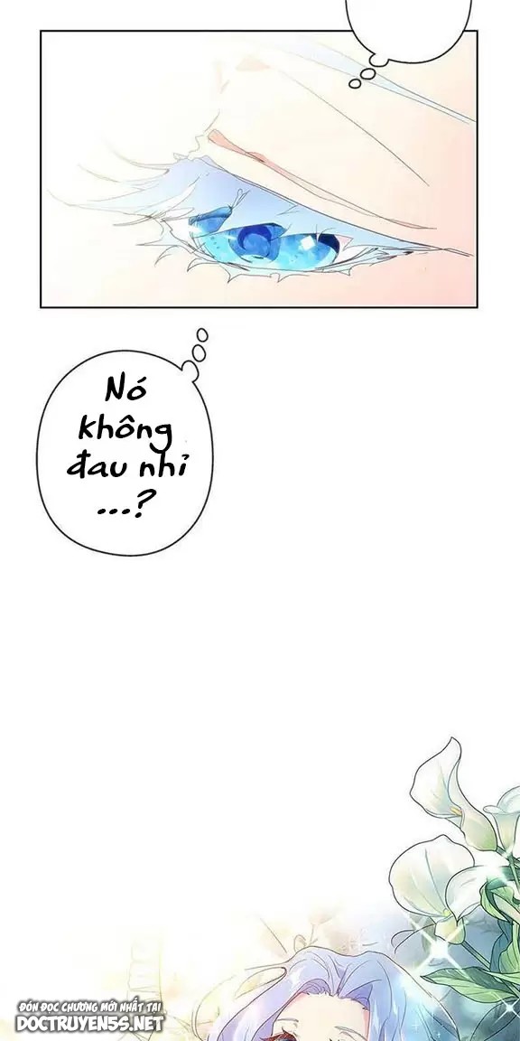 nếu tôi là nhân vật phản diện liệu tôi sẽ chết chapter 1 65