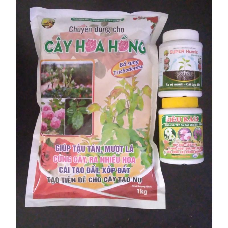 Bộ 3 phân bón ra rể mạnh - Giúp hoa đẹp, to cho cây Hoa Hồng - Gia đoại chuẩn bị ra hoa