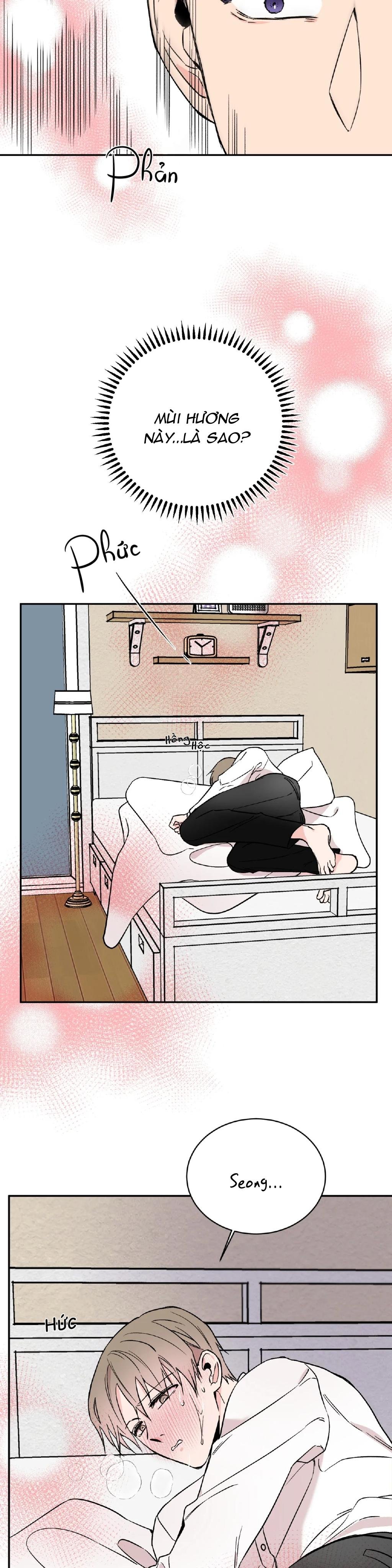 đảo ngược chapter 11 21