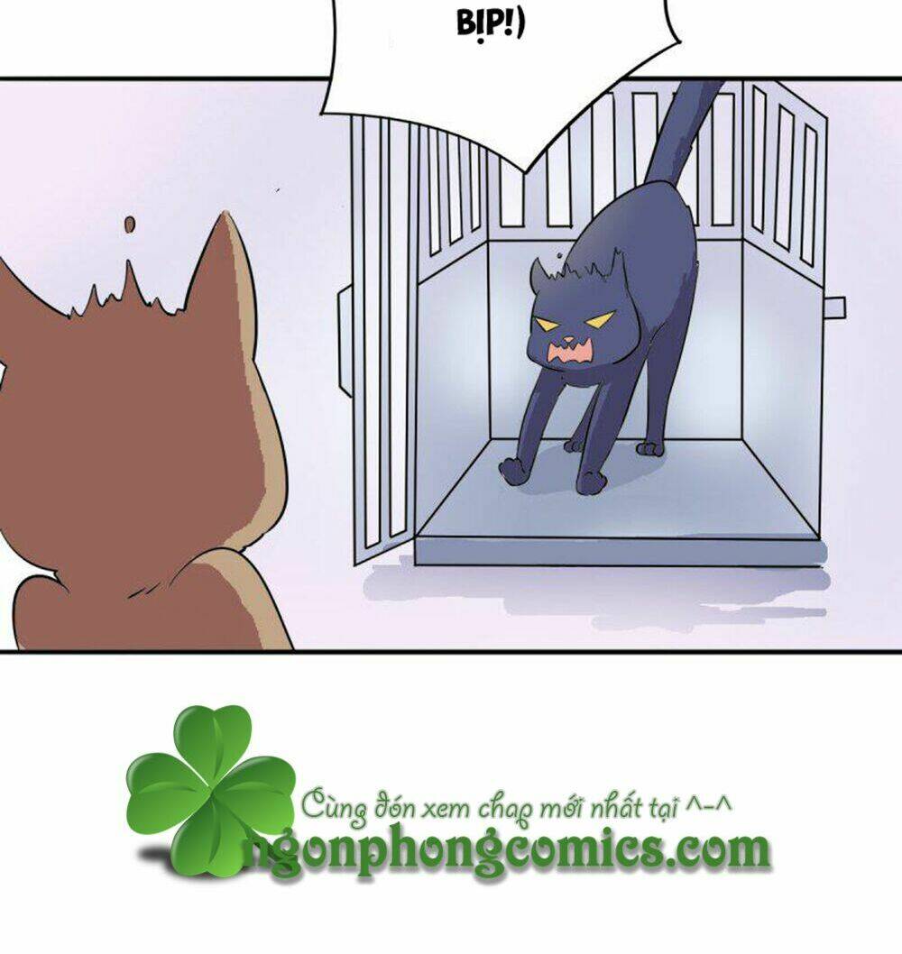 hai chú mèo totem chapter 4 23