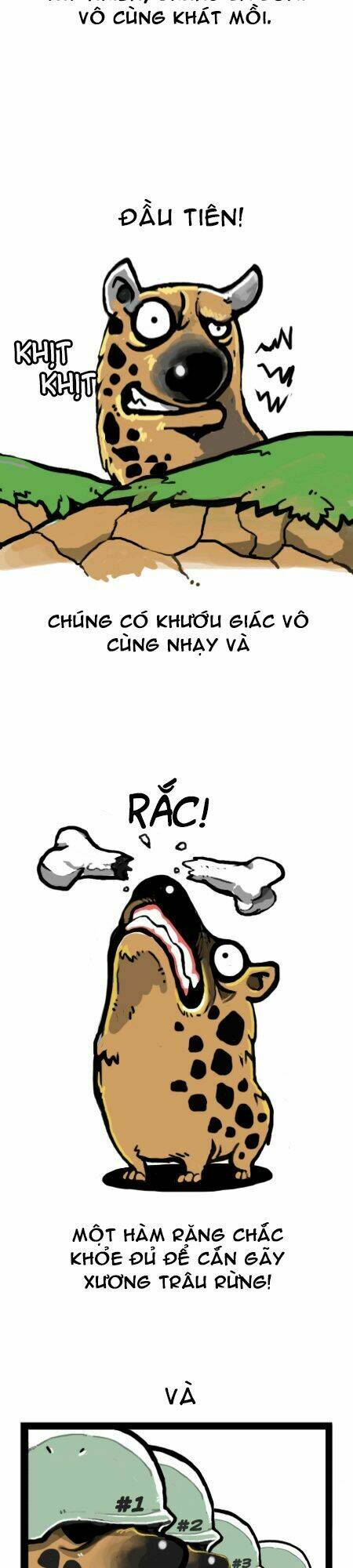 earth, human, and animal chapter 9 12