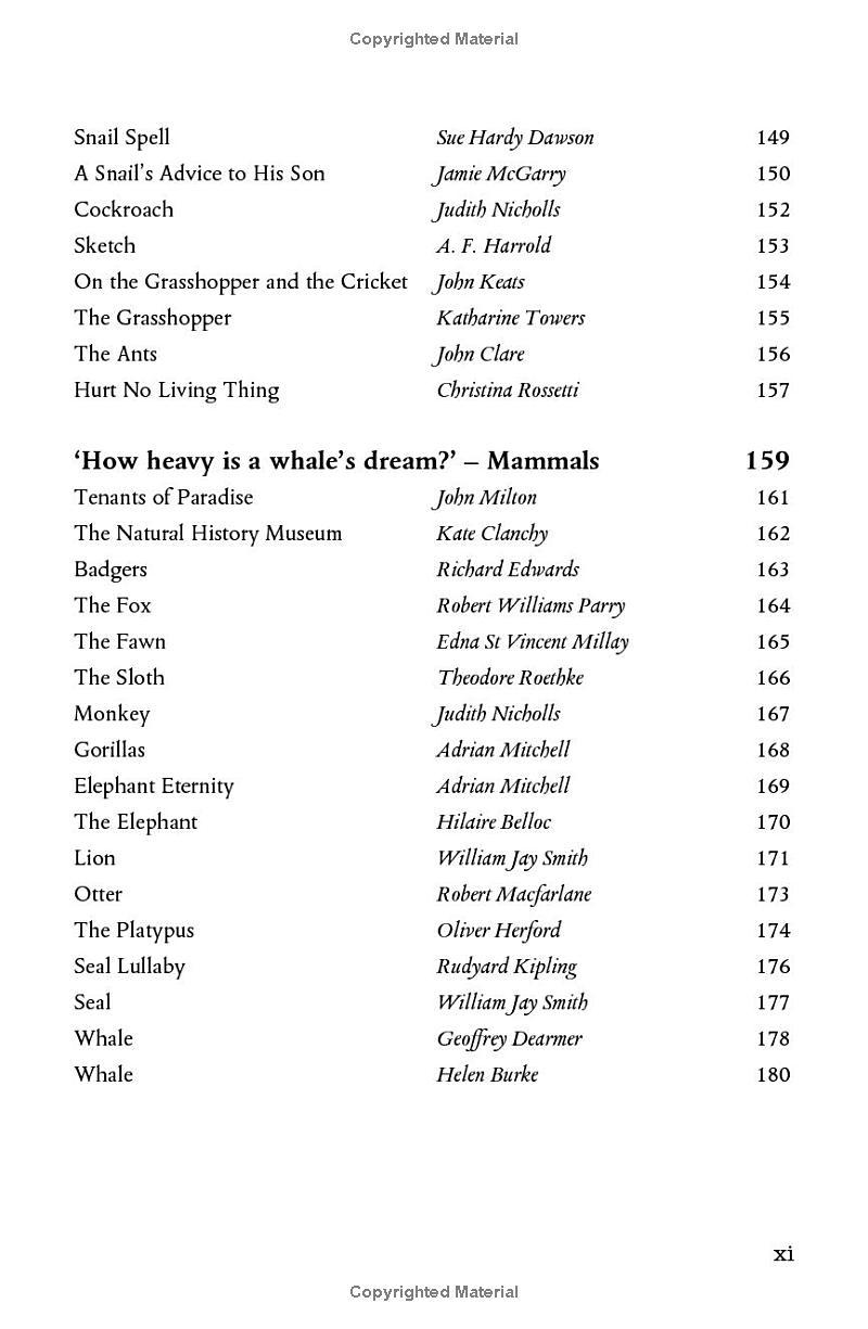 Sách ngoại văn: Wonder - The Natural History Museum