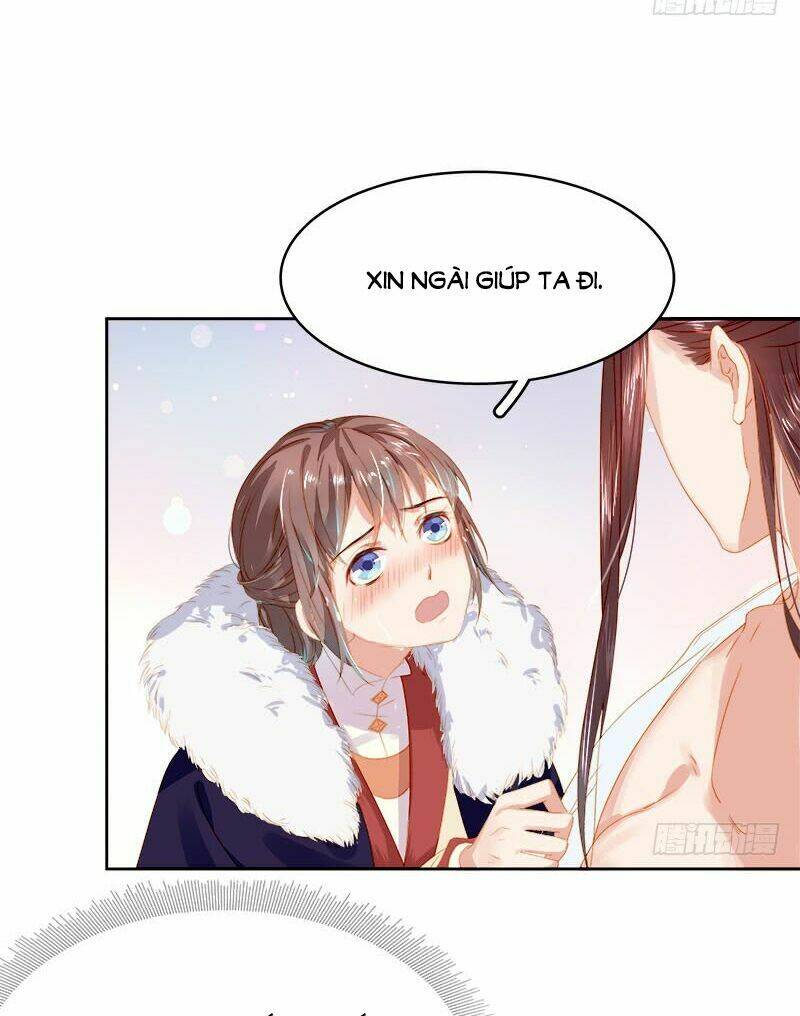 xuân khuê bí lục: xưởng công thái liêu nhân chapter 24 13