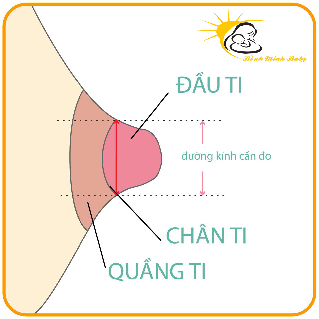 Combo máy hút sữa spectra 9 plus Hàn Quốc+máy hâm sữa fatz baby+30 túi trữ sữa unimom  Bảo hành 24 tháng chọn size phểu 16/20/24/28/32mm