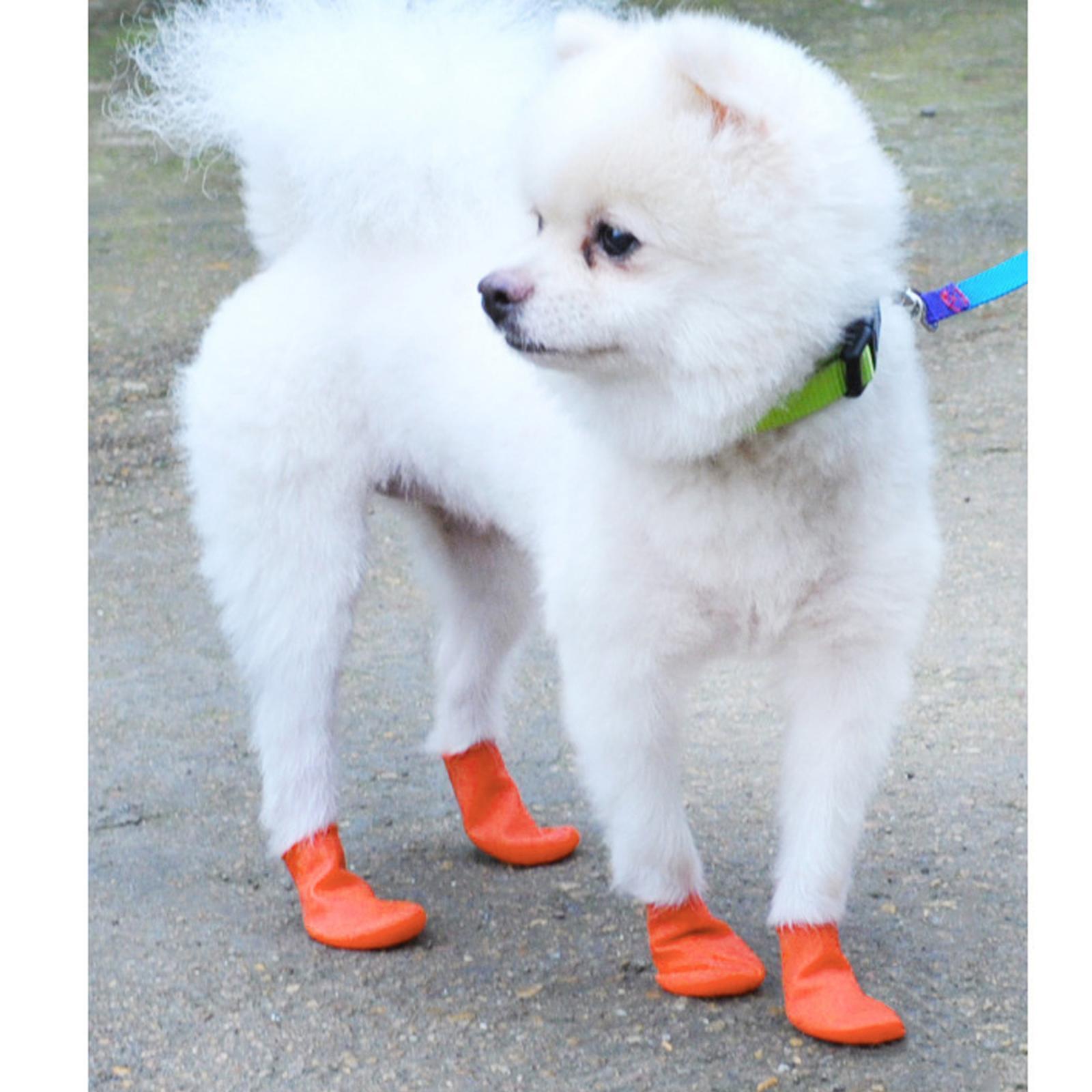 Dog Rain Boots Waterproof Snow Shoes  Outdoor Booties