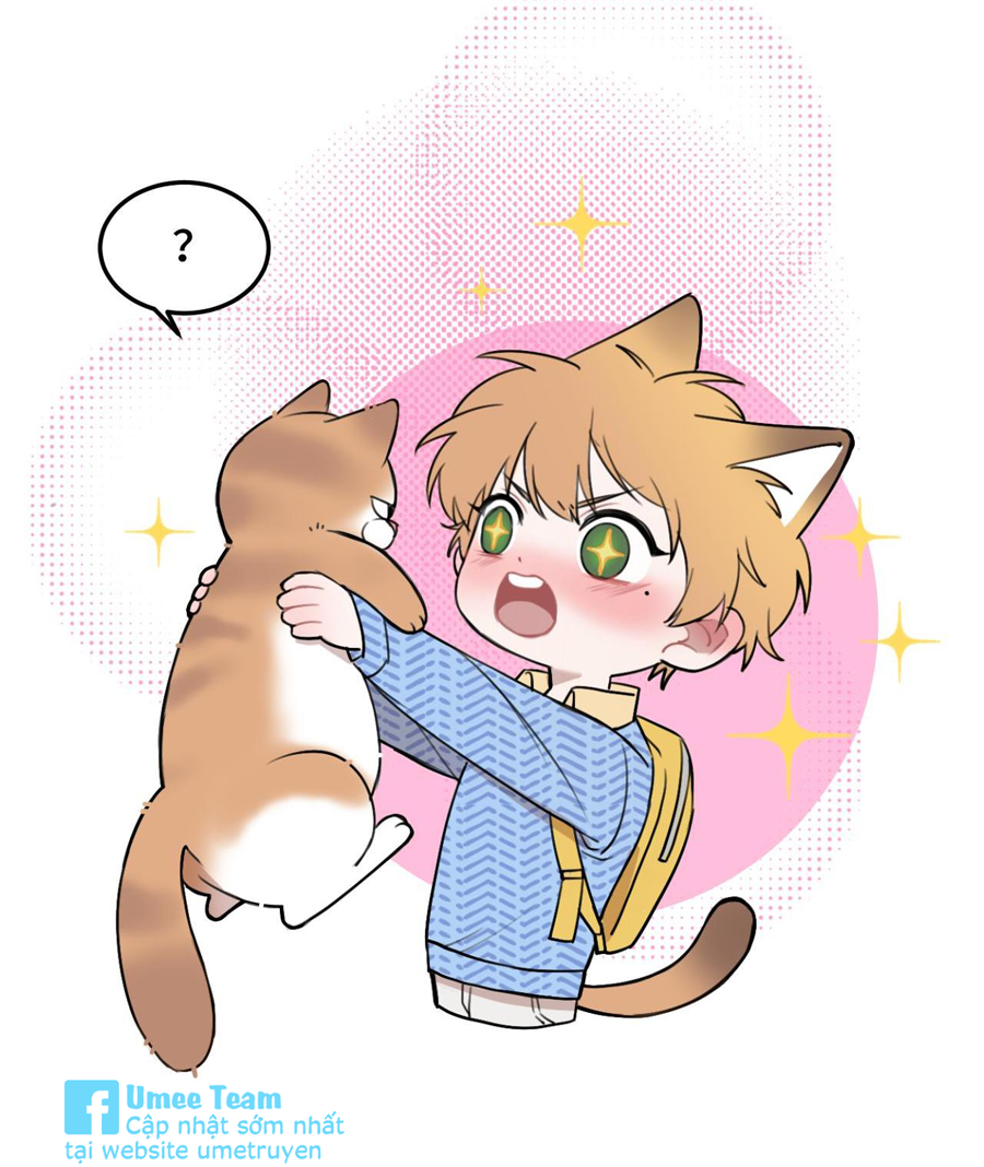 rốt cuộc bé mèo đang nghĩ gì ? chapter 11 12