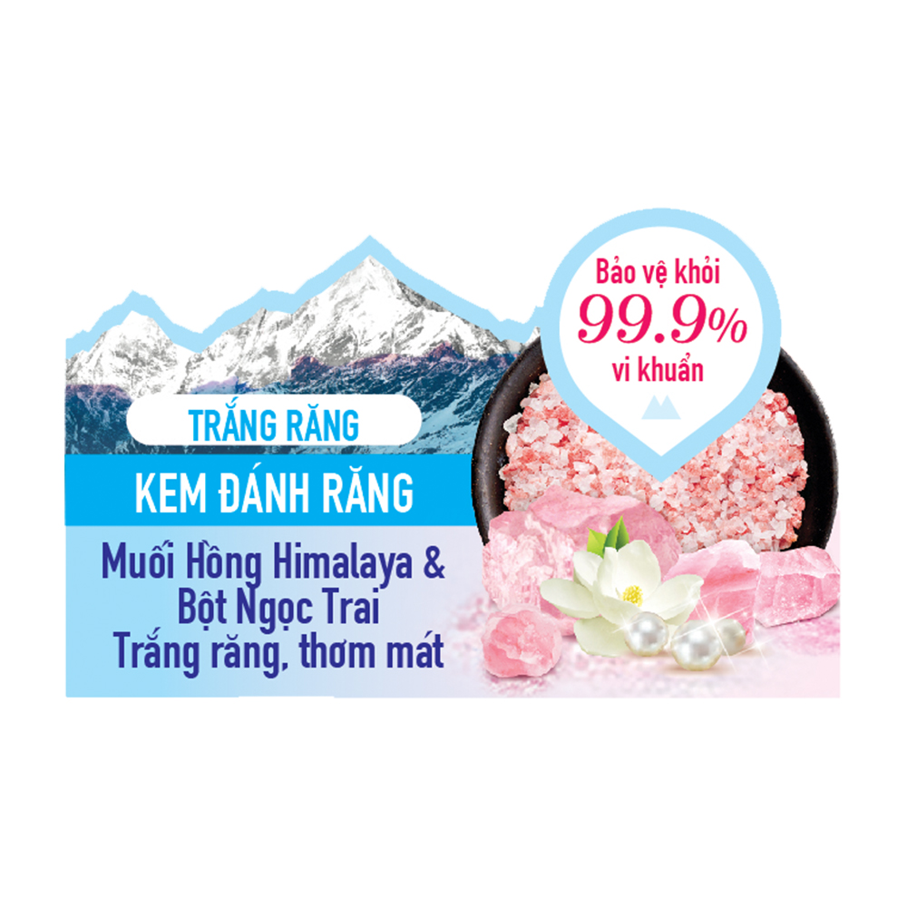 Kem đánh răng Bamboo Salt Himalaya Pinksalt Pumping Toothpaste Brightening Floral Mint 285g