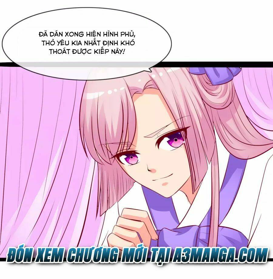 thỏ yêu tiểu vương phi chapter 48 31