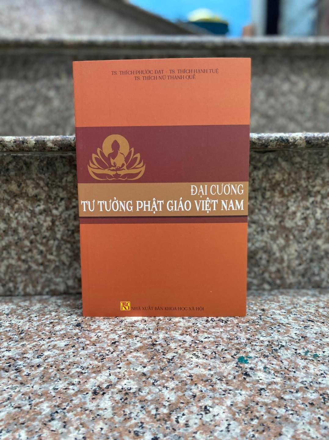 Đại Cương Tư Tưởng Phật Giáo Việt Nam