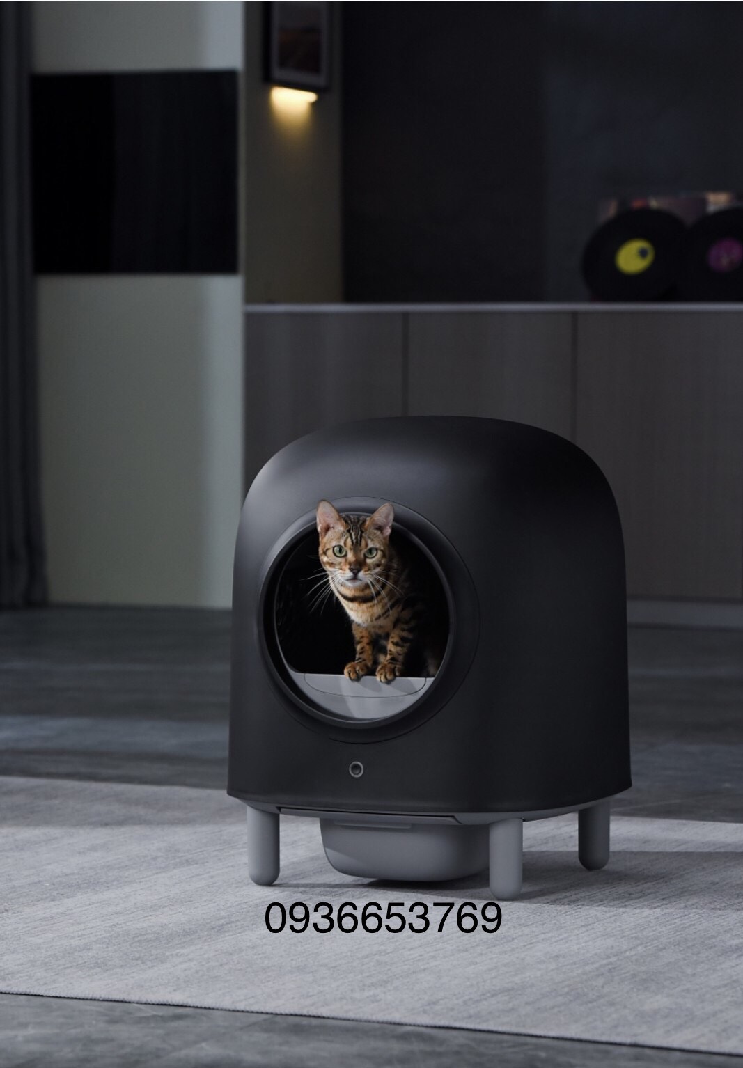 Máy dọn vệ sinh phân mèo tự động Petree Minion kết nối App - PETREE 2022