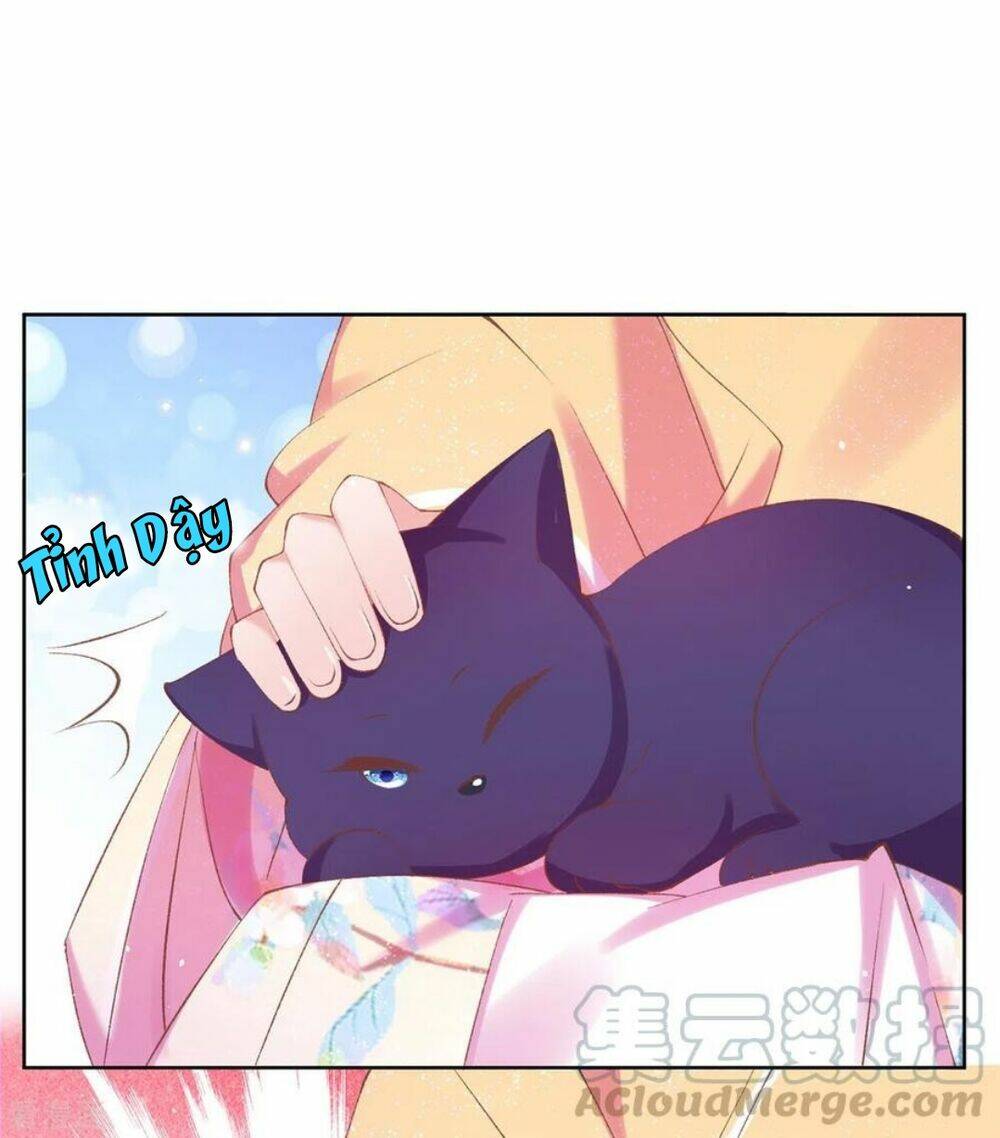 thị huyết y phi chapter 114 7