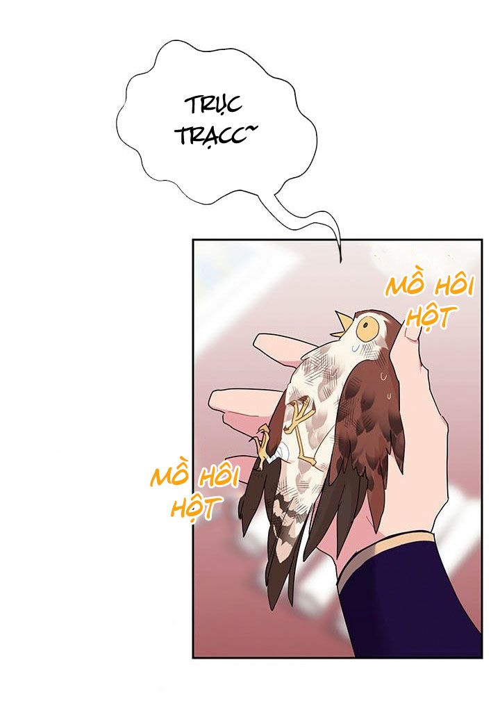 công chúa của loài chim chapter 12 79