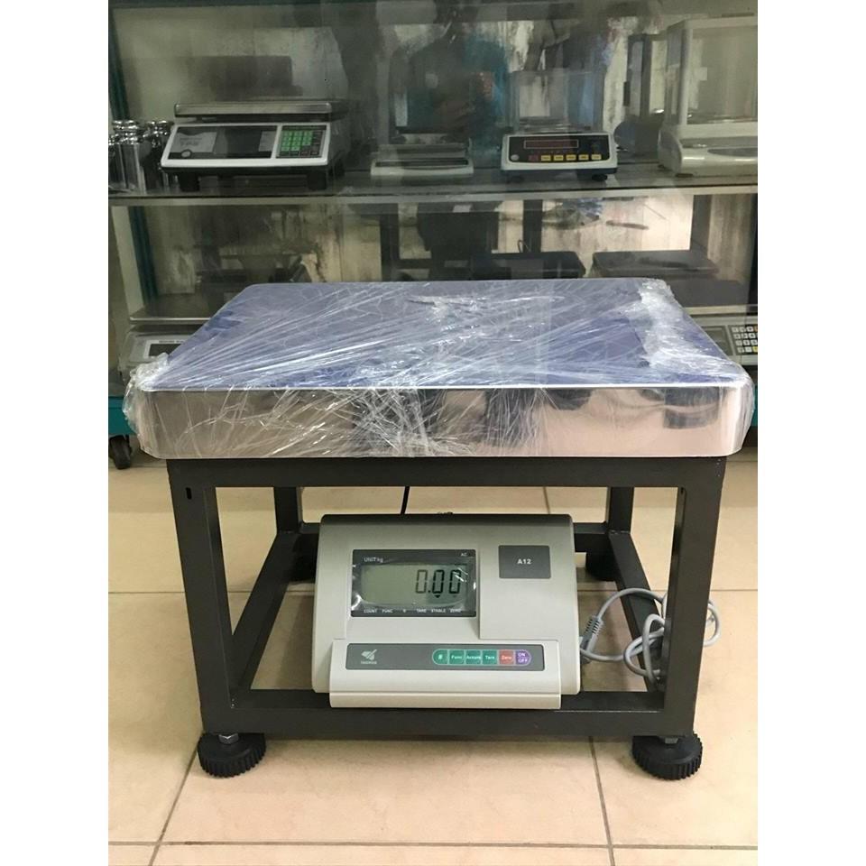 Cân ghế ngồi 500kg