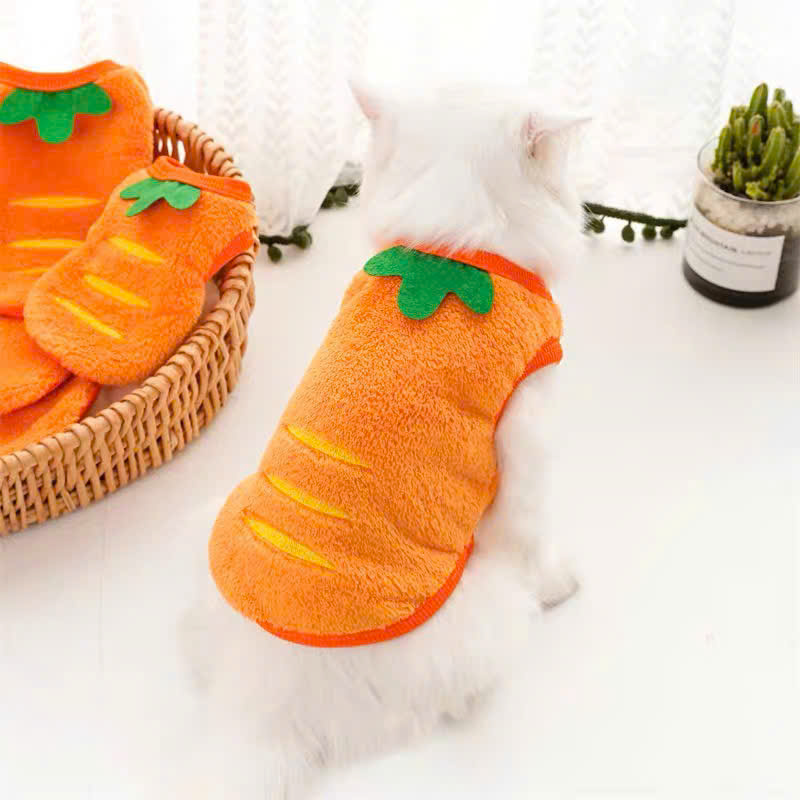 ÁO CÀ RỐT DỄ THƯƠNG CHO THÚ CƯNG CHÓ MÈO