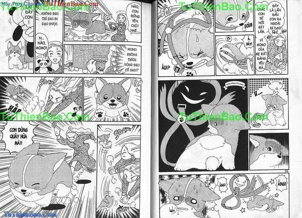chó con mo mo chapter 2 19