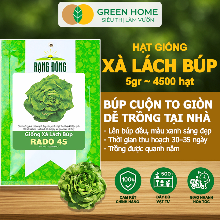 Hạt Giống Xà Lách Búp Greenhome, Gói 5gr~4500 hạt, Dễ Trồng Quanh Năm, Thu Hoạch Nhanh, Năng Suất Cao R20